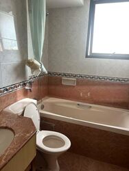 Simsville (D14), Condominium #501936921